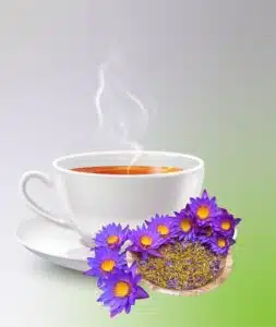 Blue Lotus Flower Tea_Sanzas Holdings