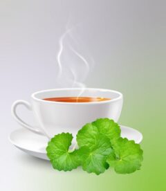 Centella Asiatica Tea_Sanzas Holdings