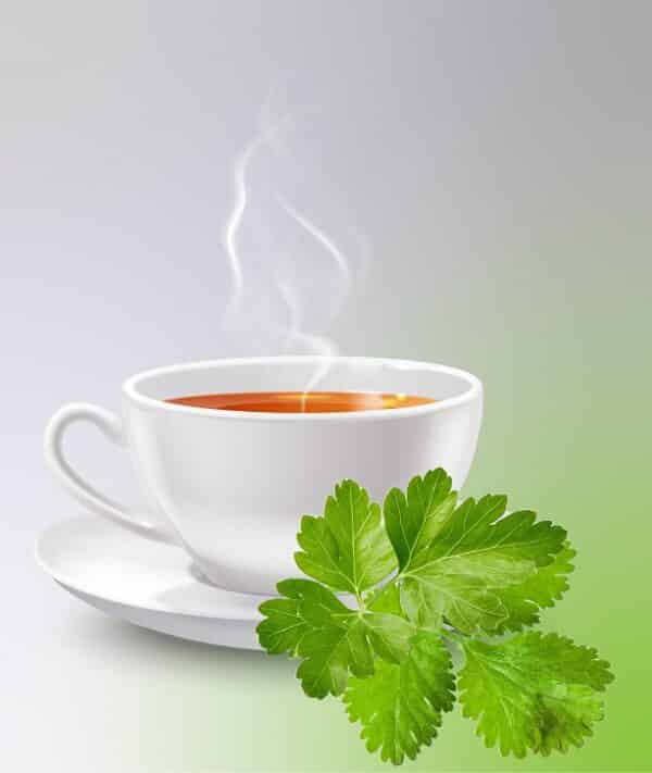 Coriander Tea_Sanzas Holdings