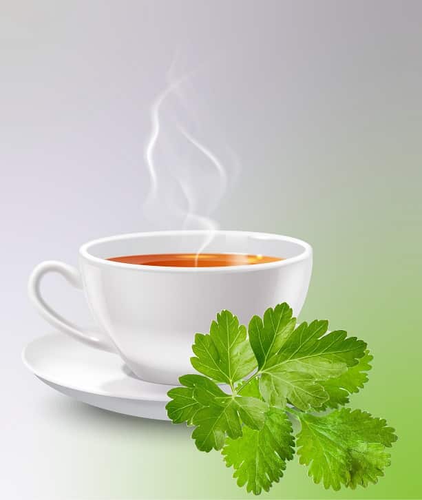 Coriander Tea_Sanzas Holdings