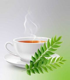 Curry Leaves Tea_Sanzas Holdings