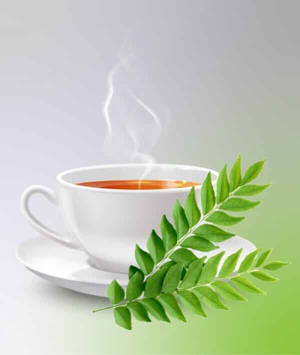 Curry Leaves Tea_Sanzas Holdings