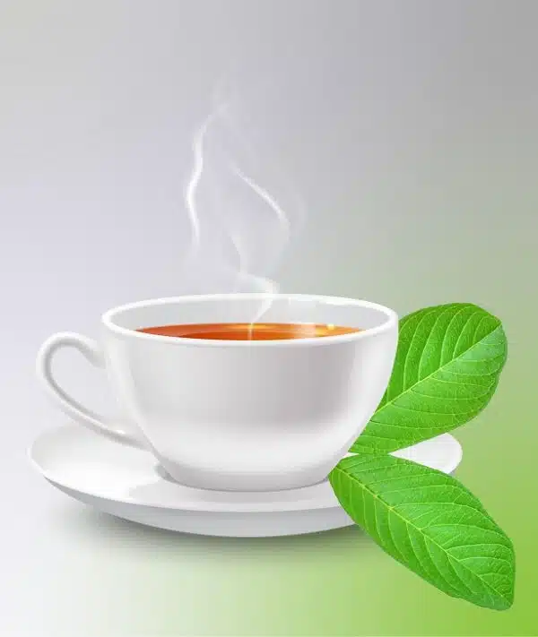 Guava Leaf Tea