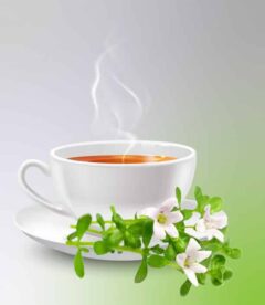 Lunuwila Tea_Sanzas Holdings