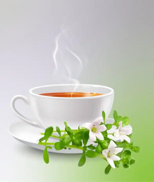 Lunuwila Tea_Sanzas Holdings