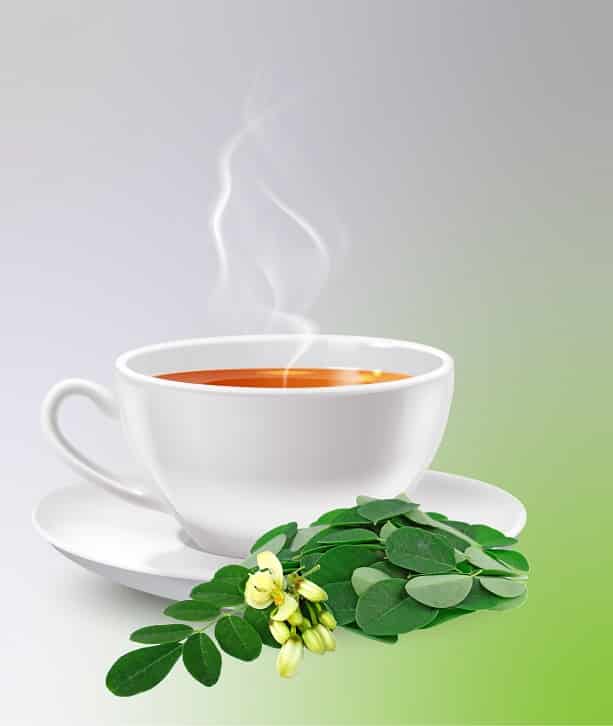 Moringa Leaves Tea_Sanzas Holdings