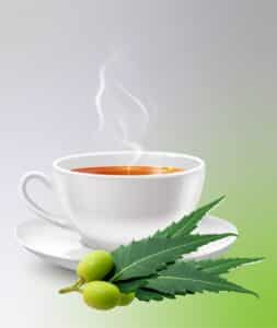 Neem Leaf Tea_Sanzas Holdings