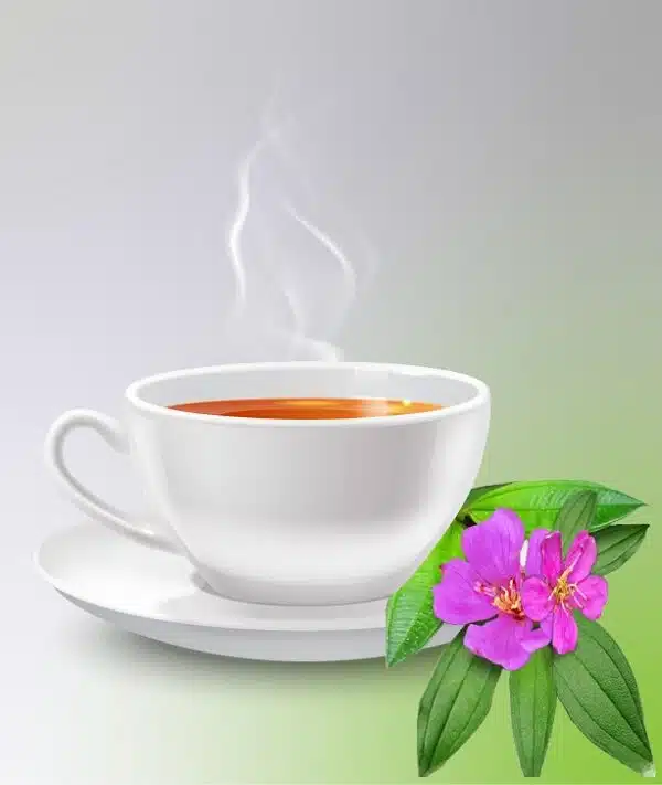 Osbeckia Octandra Tea_Sanzas Holdings